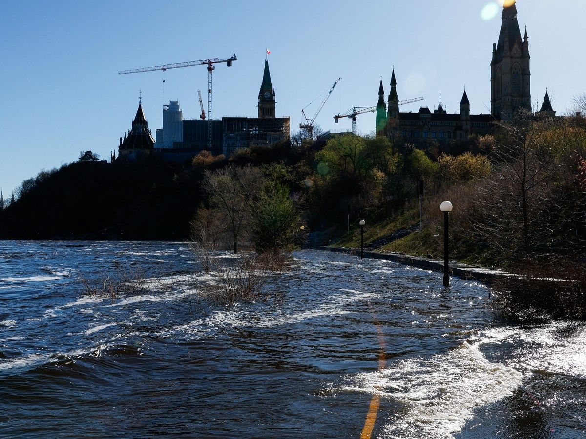 An inside look at the animals behind Parliament's walls (no, not those ones)