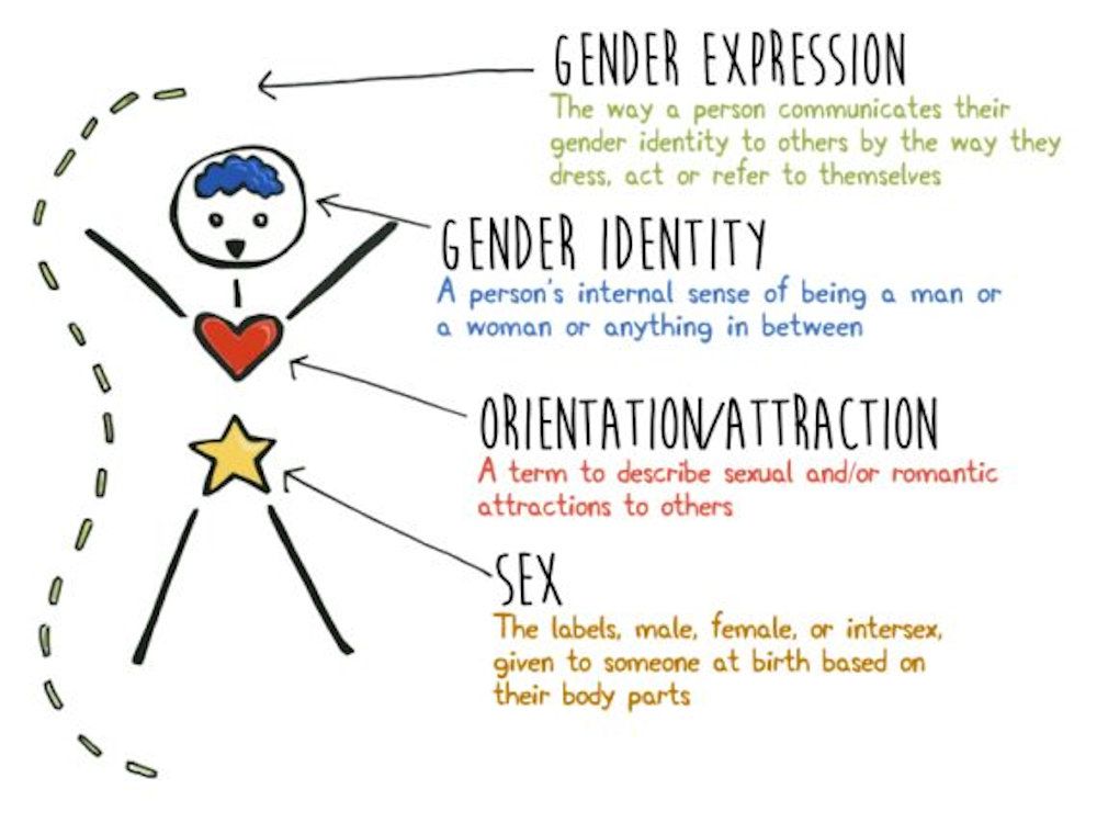 A graphic used in BC SOGI education.