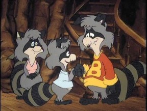 raccoons