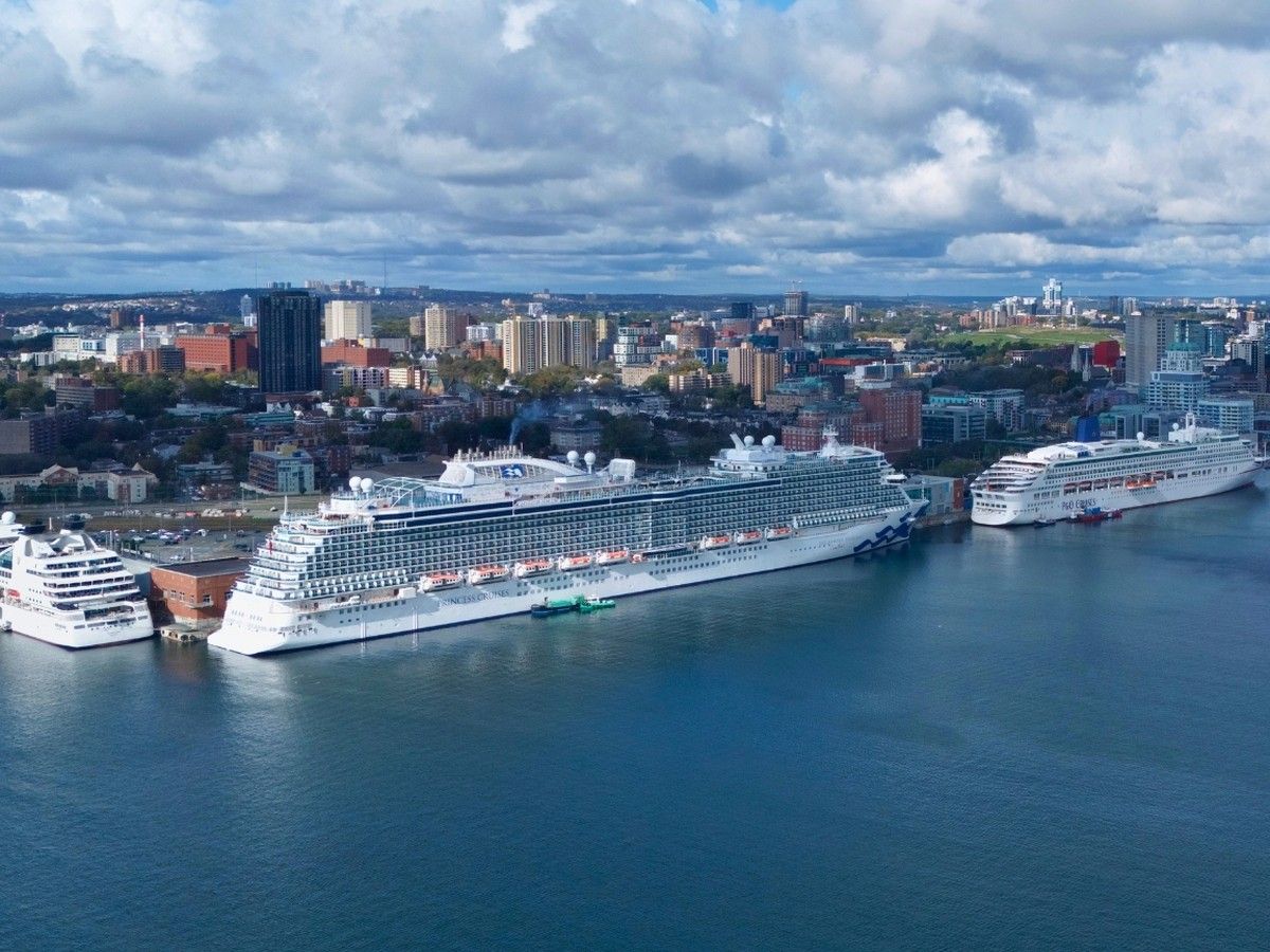 Cruise ships docked at Piers 20, 22 and 23 in Halifax in 2024. Halifax Port Authority