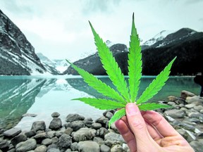 Cannabis is back before Banff town council this month.