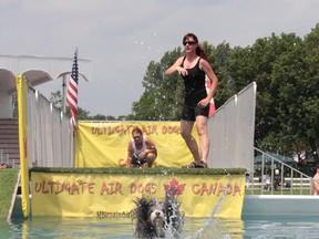 K9 Sports Fest participant Traffic lands in the water in the long jump competition as handler Sue Joy looks on at the Maxville Fairgrounds on Sunday July 19, 2015 in Maxville, Ont. 
Greg Peerenboom/Cornwall Standard-Freeholder/Postmedia Network