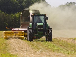 Mike McNaughton of Comrie Farms on Richmond Street north of London, Ont., kicks up a cloud of dust as he blows hay silage into a hopper wagon on Tuesday June 12, 2018. 
Mike Hensen/The London Free Press/Postmedia Network