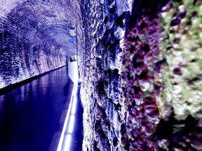 People walk through Brockville's colourfully-lit railway tunnel on Aug. 21, 2018. (FILE PHOTO)