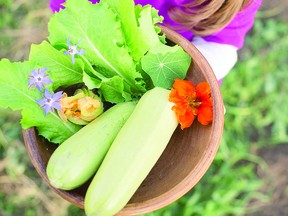 Bowl of freshly picked vegetables. (Getty Images)
