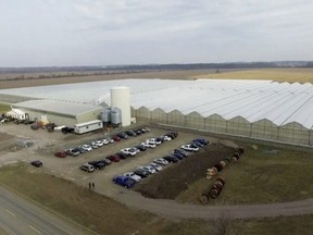 Tilray says its High Park Farms cannabis greenhouse near Petrolia will close by September.