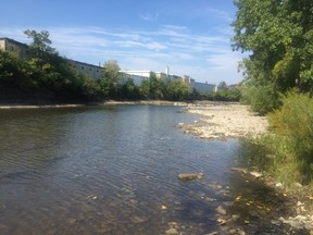 The Moira River water levels remain low despite weekend rainfall. Quinte Conservation remains in a Level 2 Low Water condition. The region’s Low Water Response Team (LWRT) issued the Level 2 last week for the Quinte Watershed.
FILE