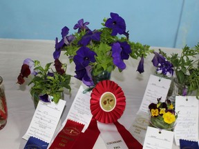 With the cancellation of the annual Fall Fair, the Agricultural Society has come up with some great projects to do.TP file photo.JPG