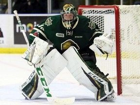 London Knights goalie Joseph Raaymakers plays against the Sarnia Sting at Progressive Auto Sales Arena in Sarnia, Ont., on Wednesday, Nov. 22, 2018. Mark Malone/Chatham Daily News/Postmedia Network