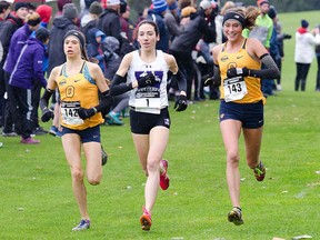 Brianna MacDougall, (142), and her sister Brogan McDougall (143) both from the Queen's Gaels, and Kristina Popadich of the Western Mustangs compete in the Ontario University Sport  Cross Country Championships in London, Ontario on Saturday October 27 2018. 
Brogan won the eight kilometre race with a time of 28 minutes, three seconds, Branna was second at 28:34, Popadich was third at 28:41. Submitted Photo/Kingston Whig-Standard/Postmedia Network

Handout Not For Resale