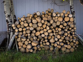 Firewood piled up at a home.