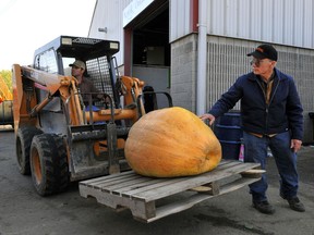 This October’s Norfolk County Fair has been cancelled. However, the fair’s garden products committee has agreed to hold a special weigh-off in October for producers of giant pumpkins and squash. The weigh-off is for fun, with no prize money on offer. – Reformer photo