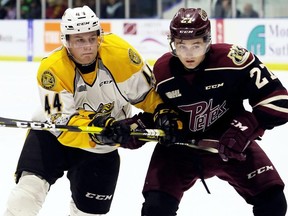 Sarnia Sting's Jacob Perreault (44) battles ex-Sting forward Brady Hinz (27) of the Peterborough Petes in the first period at Progressive Auto Sales Arena in Sarnia, Ont., on Saturday, Nov. 17, 2018. (Mark Malone/Chatham Daily News/Postmedia Network)