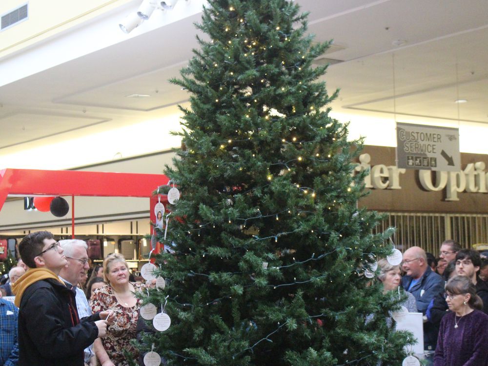 Bereaved Families memory tree in Cornwall starts next Friday | Cornwall ...