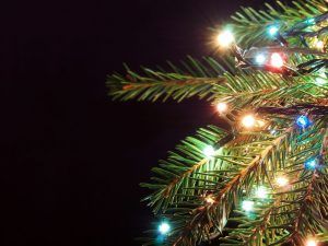 Anderson Farm Museum to light Christmas tree Dec. 10