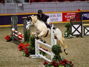 Nicole Donovan with her stallion Fiontar Mac Tire competed at the 2017 edition of the Royal Agricultural Winter Fair. The 99th annual RAWF has been postponed to 2021. (File photo/Postmedia Network)