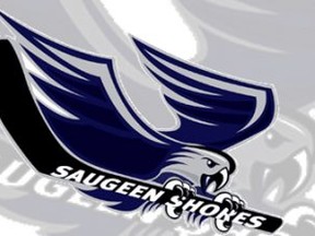 Saugeen Shores Winterhawks opened their WOAA Senior AA season with a 5-2 road loss to Clinton Oct. 8.