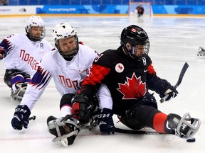 Tyler McGregor (8) of Canada battles for the puck with Rolf Einar Pedersen of Norway in a para hockey preliminary-round game at the 2018 Pyeongchang Paralympic Games on March 12, 2018, in Gangneung, South Korea.  (Photo by Martin Rose/Getty Images)