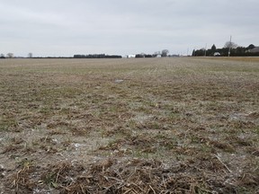 Farmers are still waiting for winter weather to hit in the region. Shown is a field in the Dover area of Chatham-Kent. (Trevor Terfloth/The Daily News)