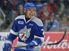 Isaak Phillips of the Sudbury Wolves.