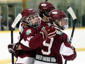 Dresden Kings' Brendan Ritchie (9), Dawson Winchester (17) and Brady Hogg celebrate a goal against the Blenheim Blades in the second period at the Ken Houston Memorial Agricultural Centre in Dresden, Ont., on Friday, Feb. 8, 2019. Mark Malone/Chatham Daily News/Postmedia Network