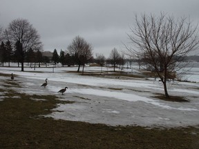 Lamoureux Park  on Friday March 22, 2019 in Cornwall, Ont. Alan S. Hale/Cornwall Standard-Freeholder/Postmedia Network