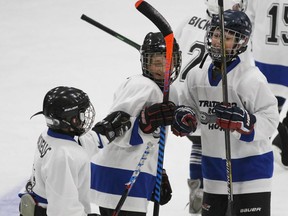 Bickell's Flooring major atom/minor peewee forward Dominic Boyles-Keating, middle, celebrates scoring a goal with his teammates during the Rotary hockey year-end tournament at William Allman Memorial Arena on Saturday, March 30, 2019. File photo