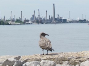 Industries in Chemical Valley are shown in this view of Sarnia Bay from Centennial Park.