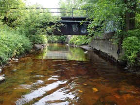 The Oak Street bridge at Chippewa Creek.
Supplied Photo