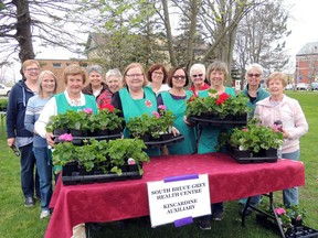 The SBGHC Kincardine Auxiliary recenlty finished its annual geranium sale for 2019, selling over 2,000 plants in the traditional colours of red, white, hot pink and salmon, with all proceeds going to the Kincardine and District Hospital. Here the hard-working auxiliary ladies pose with some pre-sold plants on May 16 in Victoria Park in Kincardine. PHOTO PROVIDED.