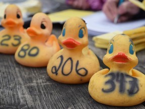 Four ducks took home prizes after the Rubber Duck Race in Seaforth . The winners were: Finn Henderson - $500, Barrett Engel - $250, Caden Lee - $100, and Rob Shortreed - $50, mystery duck. Dan Rolph/Postmedia Network