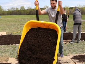 Ecole secondaire Hanmer teacher Jacob Gauthier dumps soil over cardboard for an edible forest garden at the school in Hanmer, Ont. on Friday May 24, 2019. Ecole secondaire Hanmer students, under the direction of local non-profit Sudbury Shared Harvest, planted fruit trees, shrubs and other edible perennial plants with the help of employees from local TD Bank locations. The project was made possible thanks to grants from TD Friends of the Environment Foundation and the Greater Sudbury Police Chief's Youth Initiative Fund.