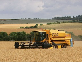 A combine harvester works its way through a field of barley