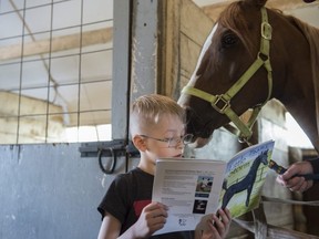 James Peters read to Sox a  16 year-old gelding. Grade 1 and 2 students from Delwood School visited the Arabian Horse Reading Literacy Project in Ardrossan to participate in equine assisted learning on June 14, 2019.   Photo by Shaughn Butts / Postmedia