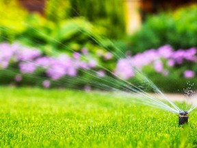 automatic sprinkler system watering the lawn on a background of green grass, close-up