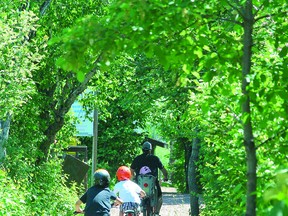 A family from the Sault rides the Whitefish Island trails. ALLANA PLAUNT/SAULT THIS WEEK