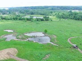 An aerial view of the Burgess Park wetlands taken by drone. Students from local high schools have been instrumental in returning the park to its natural state, after it was used as farmland for years. 
Courtesy of Steve Sauder, Upper Thames River Conservation Authority