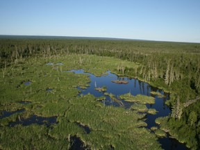 Wood Buffalo National Park as seen from the air. Supplied Image/John McKinnon/Parks Canada