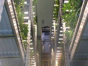 This photo was provided by AgMedica Bioscience Inc. showing the inside of its Chatham operation.