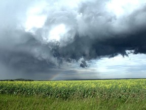 A funnel cloud forming. Photo: Supplied/Via Chris Kiernan, Alberta Storm Chasers.