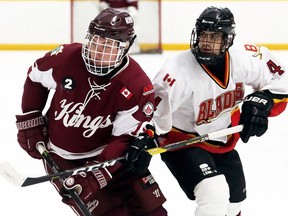 Dresden Kings' Derek Shaw (15) tangles with Blenheim Blades' David Cooke (4) in the second period at the Ken Houston Memorial Agricultural Centre in Dresden, Ont., on Friday, Feb. 8, 2019. Mark Malone/Chatham Daily News/Postmedia Network