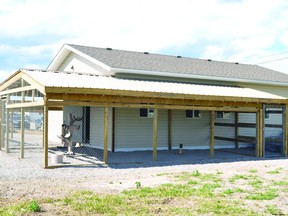 The outdoor dog and cat runs at the Nanton Animal Protection Society's new building have been completed.