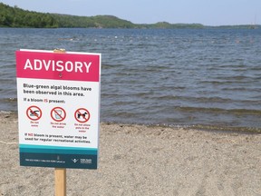 Signs warning swimmers of the presence of blue-green algal blooms, are posted at Moonlight Beach in Sudbury, Ont.