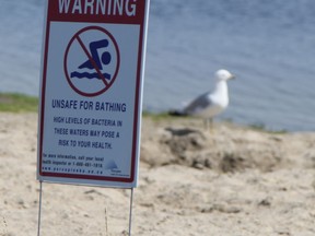 Signs advising residents against swimming at Porcupine Lake beach due to higher-than-acceptable levels of bacteria, are seen here in this photo taken on July 31, 2019.

RON GRECH/The Daily Press