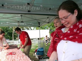 Canada Day celebrations will be returning to Woodstock's Southside Park on July 1. Postmedia Network file photo