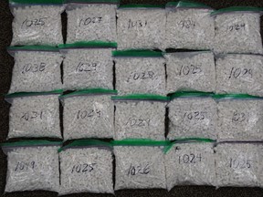 Bags of methamphetamine pills seized as part of Operation Skylark.