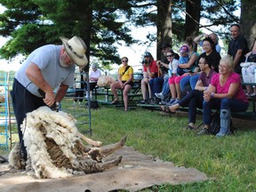 Ross Creighton of Almonte demonstrates sheep shearing at the Williamstown Fair on Saturday August 10, 2019 in Cornwall, Ont. Greg Peerenbom/Cornwall Standard-Freeholder/Postmedia Network