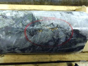 A core sample from Gatling Exploration's Larder Lake Gold project.