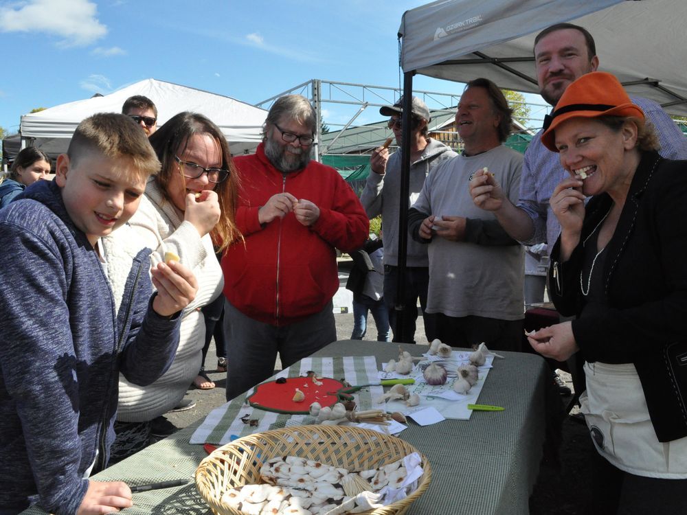 Eastern Ontario Garlic Festival returns in September Cornwall