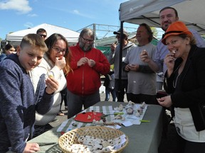 Hundreds of garlic lovers took part in this year's Eastern Ontario Garlic Festival, which took place on Sunday September 29, 2019 at Marlin Orchards and Garden Centre near Summerstown, Ont. Pictured are Joseph Geneau, Maison Baldwin House's Danielle MacNeil, Warm-Up Cornwall's John Gilmour, Bonville Garden's Doug Stewart, Conservative candidate for Stormont-Dundas-South Glengarry Eric Duncan and KozRoots' Brenda Norman, tasting various kinds of garlic.  
Francis Racine/Special to the Cornwall Standard-Freeholder/Postmedia Network